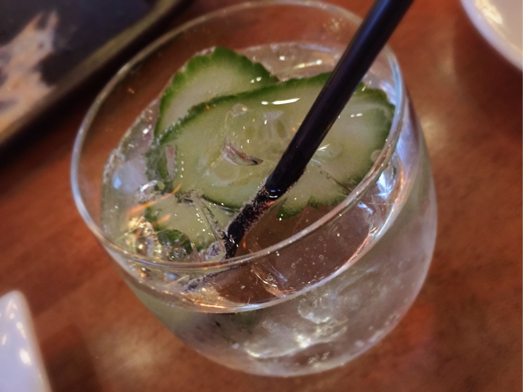 Hendrick's and Soda with Cucumber