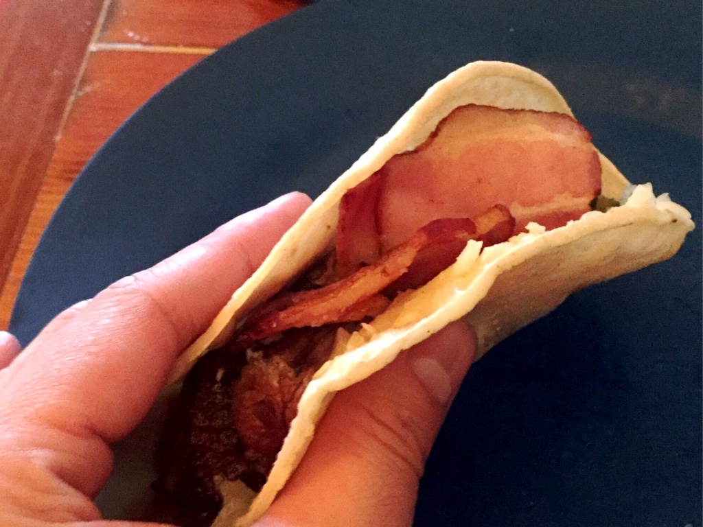 ALAMBRE (Bison Taco)