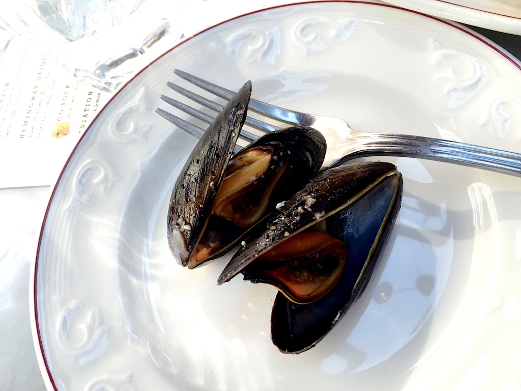 Fresh Saltspring Island mussels
