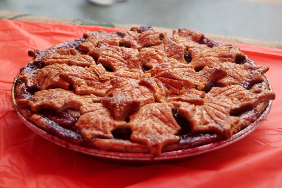Cranberry Raisin Pie