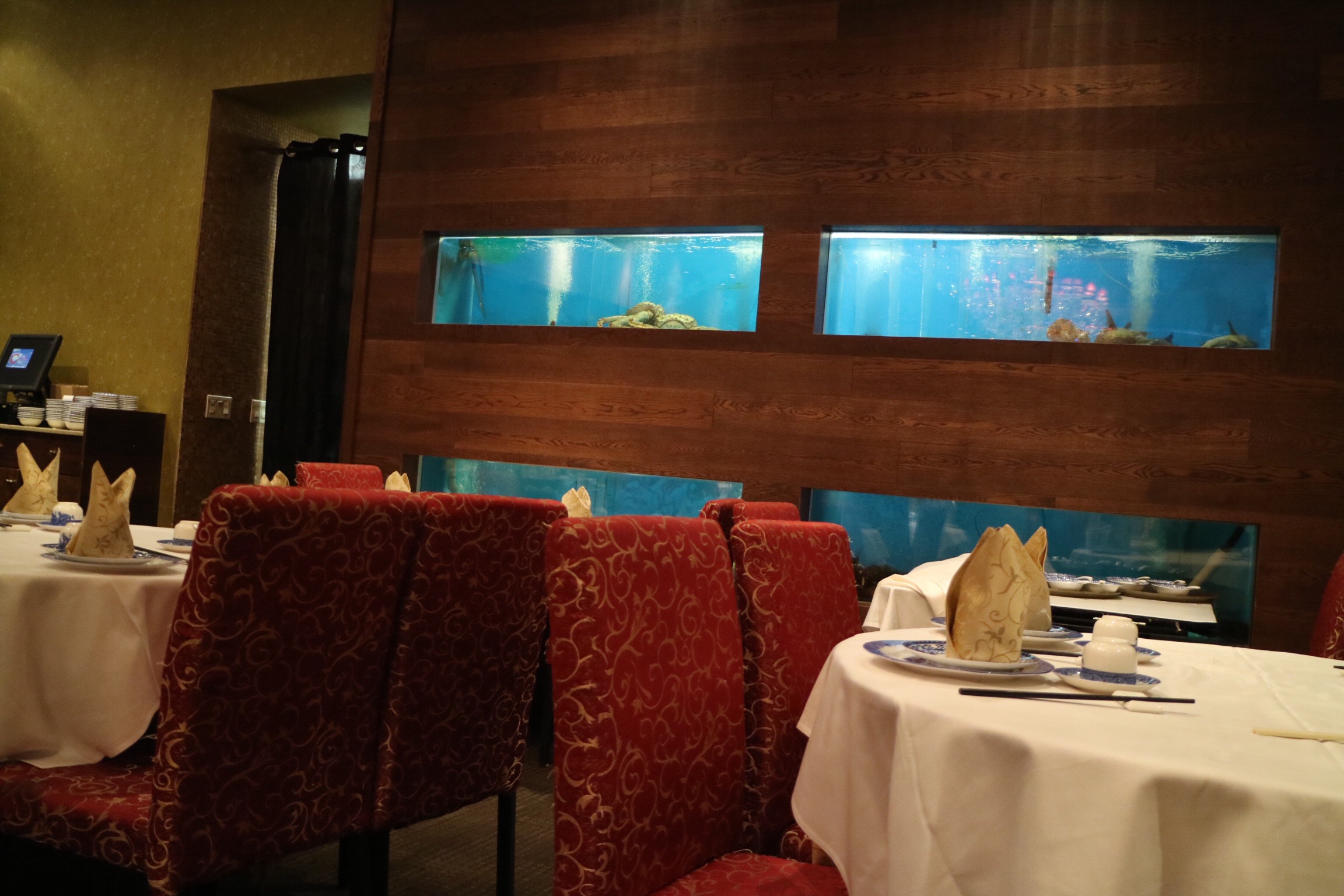 grand dynasty seafood restaurant