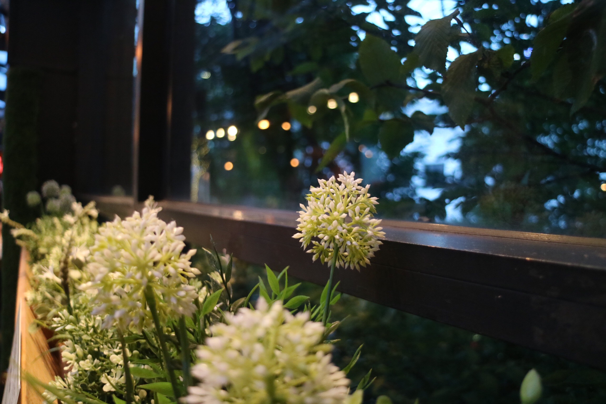 Roof Garten