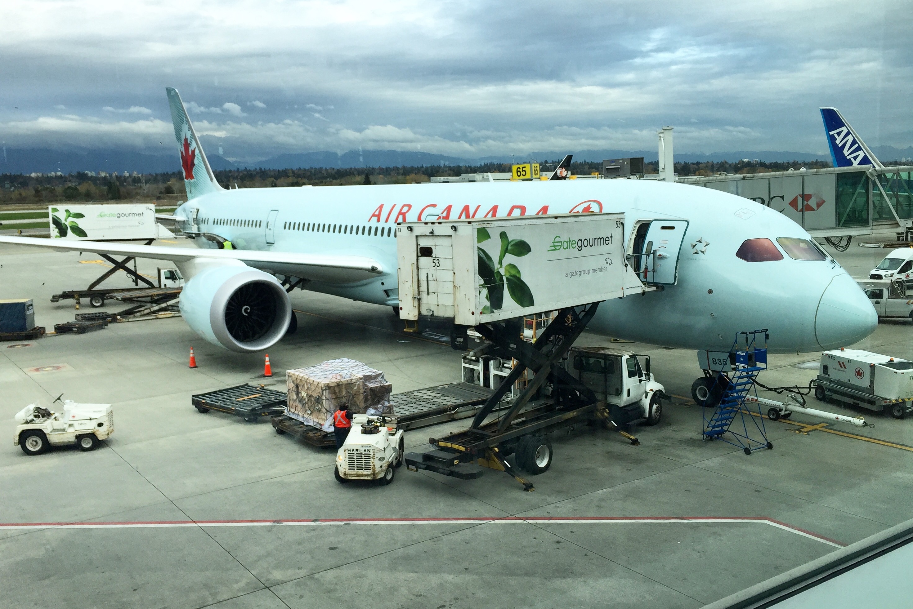 AC3 - 787 Dreamliner