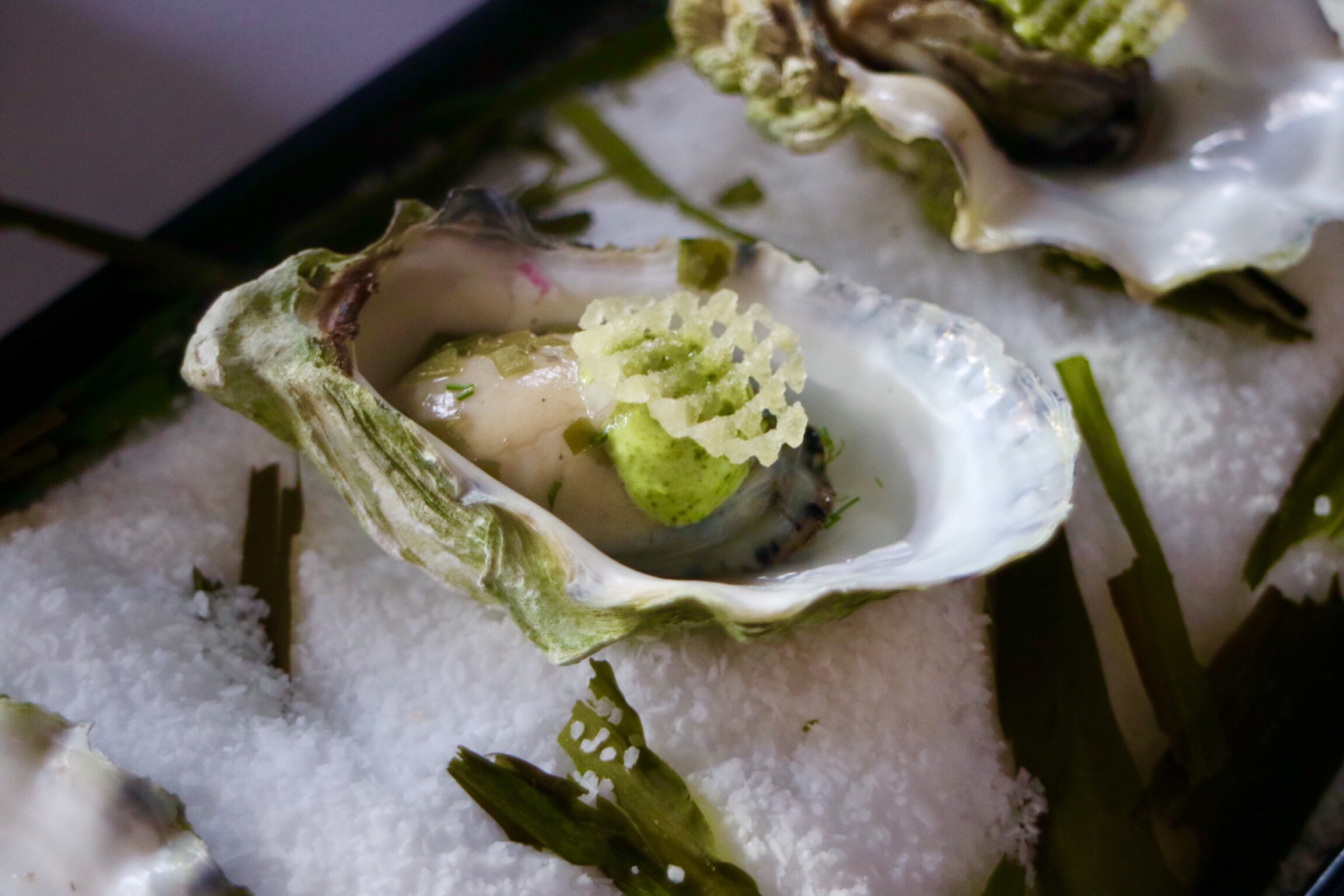 BC Oyster