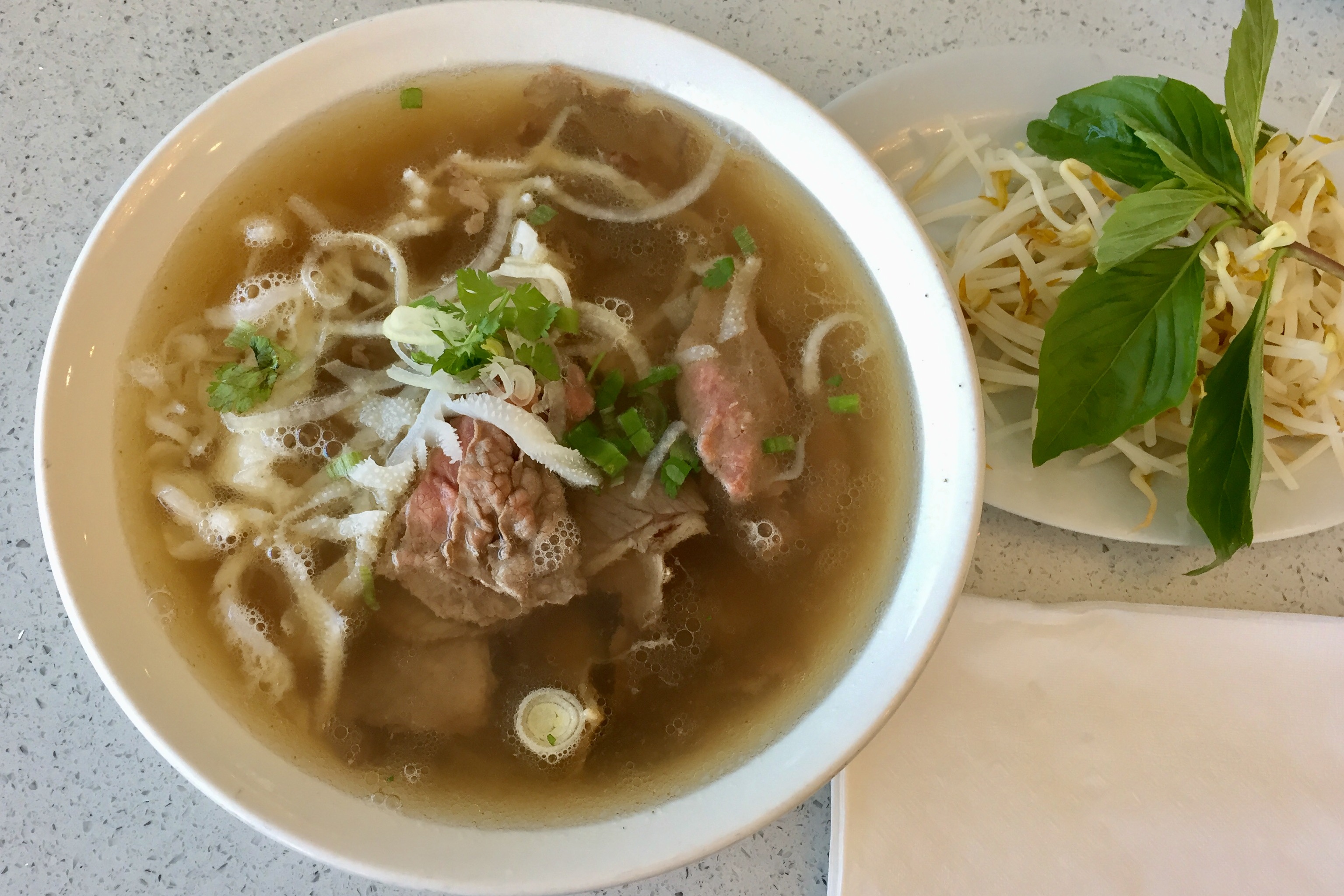 House Special Beef Pho