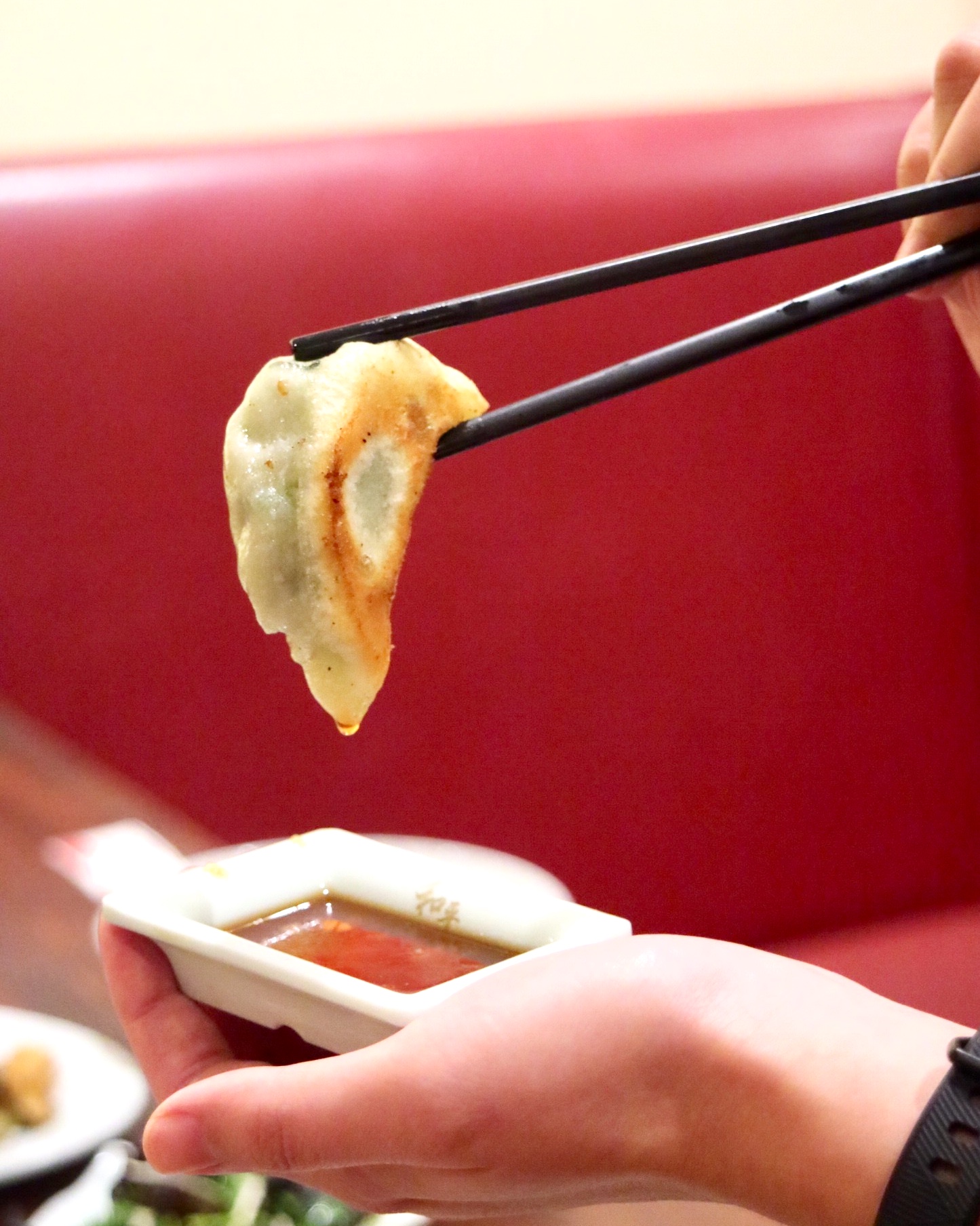 Pan Fried Vegetable Dumplings