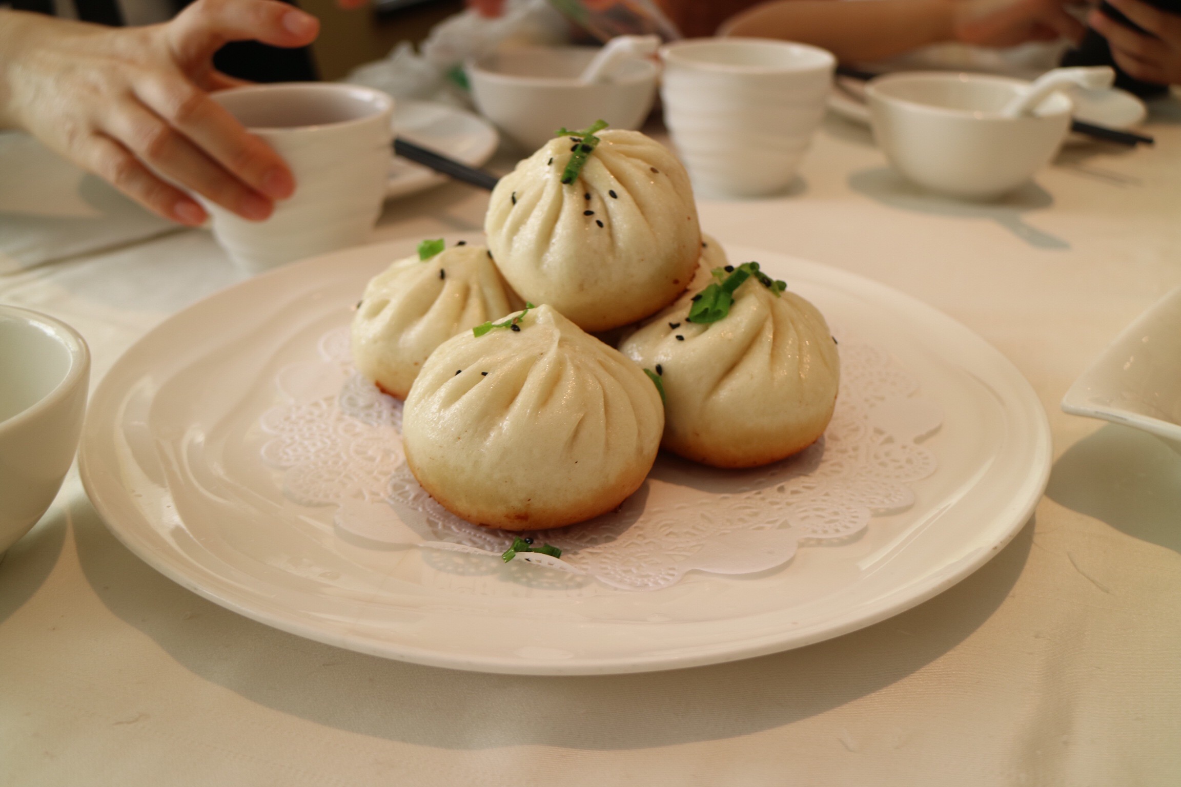 Pan Fried Buns 生煎包