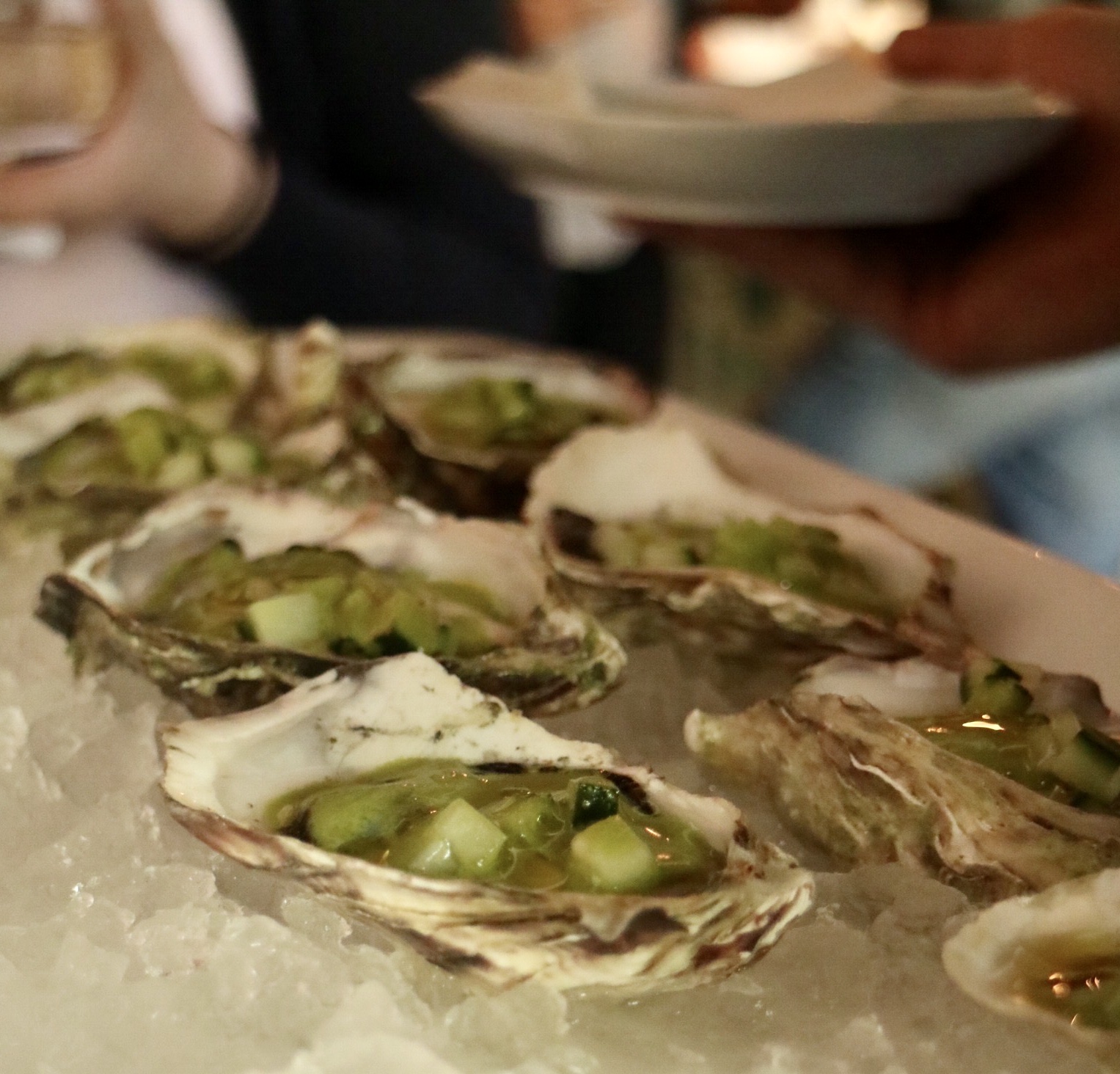 Oysters on Half Shelves
