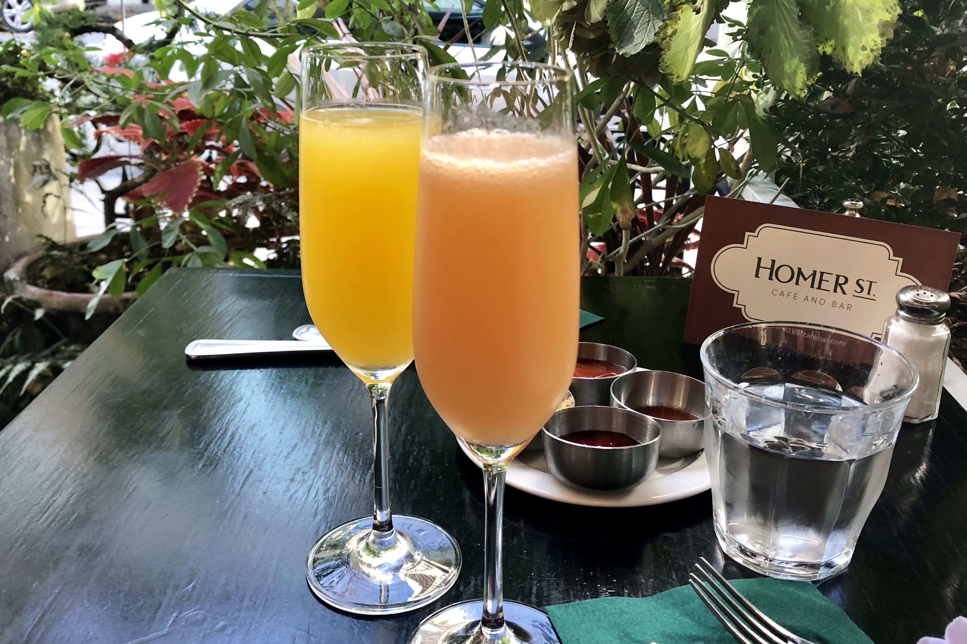 Mimosa