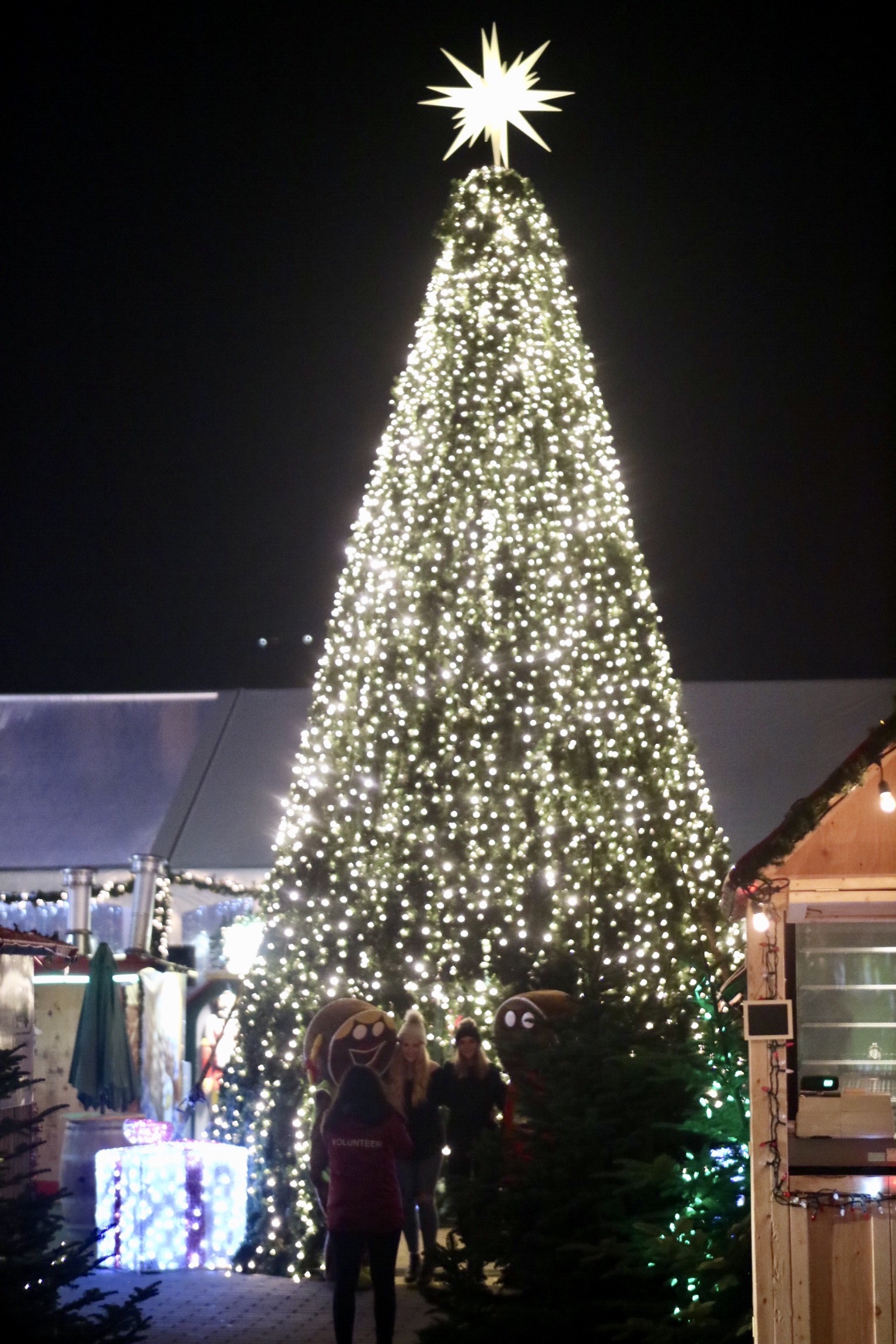 Walk-in Christmas Tree