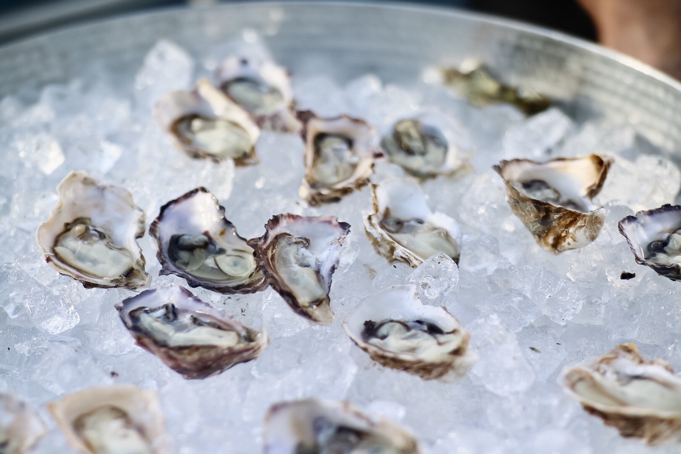 Mac’s Oysters