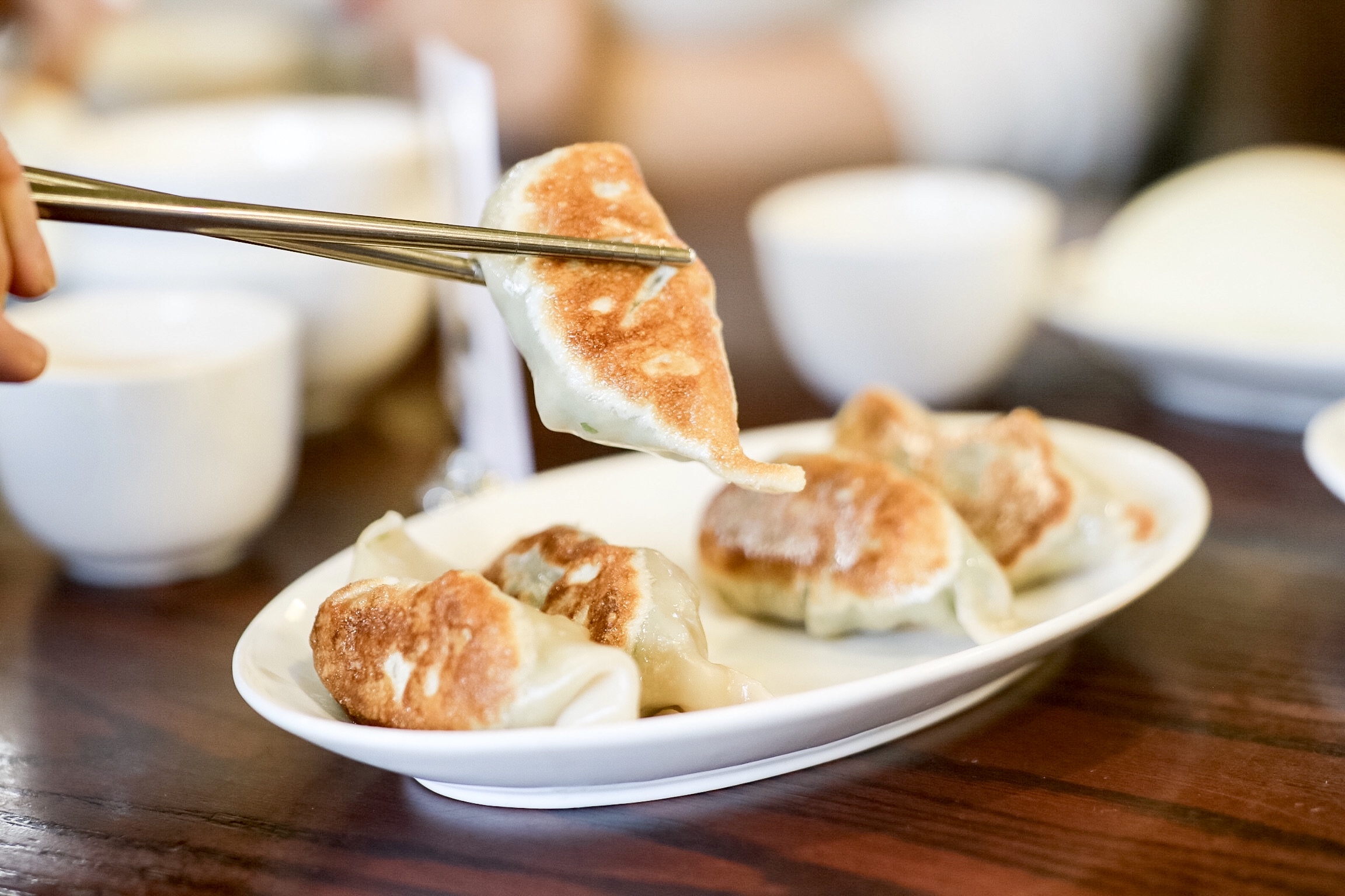 Gyoza @ 4 Stones Vegetarian