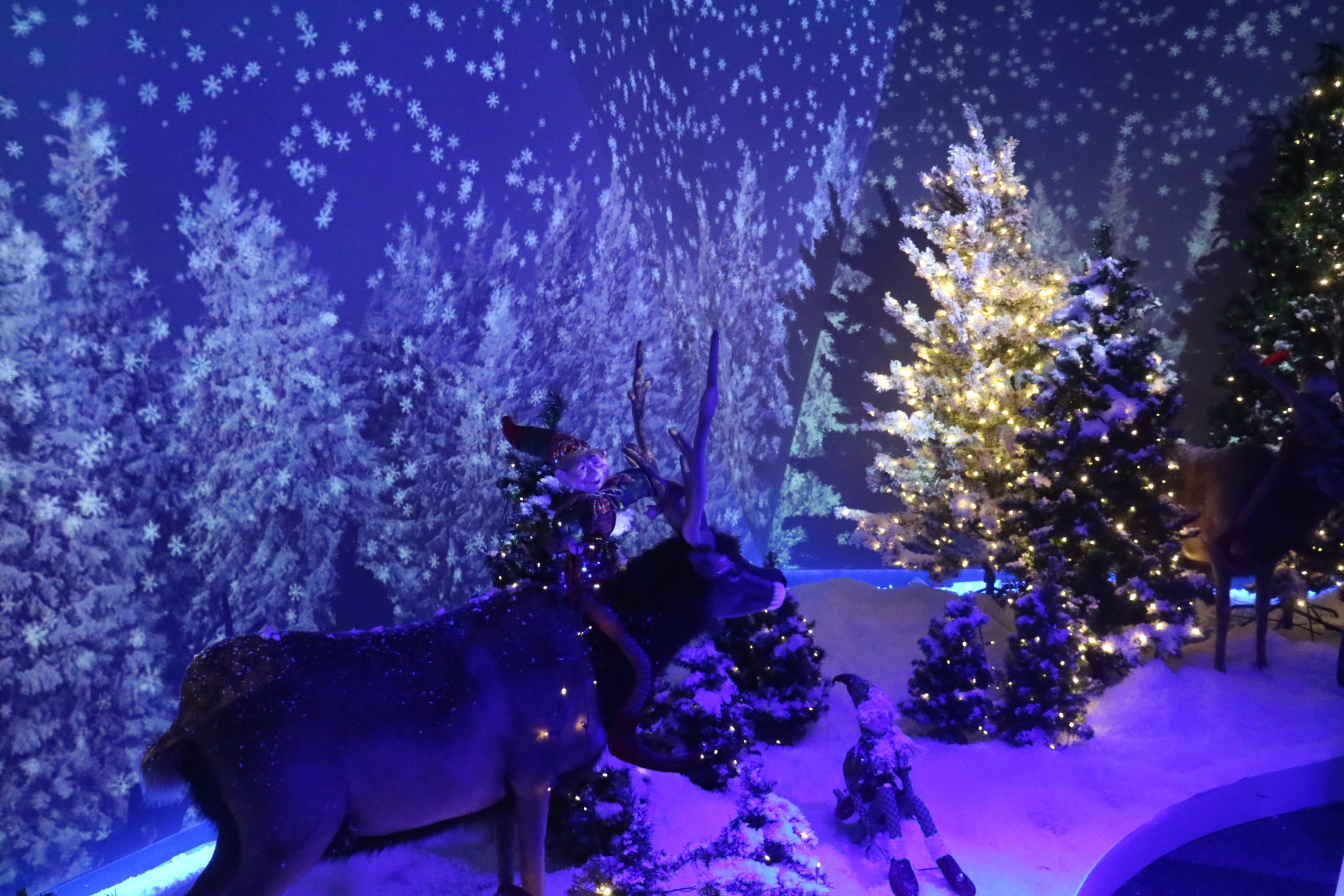 Christmas at FlyOver Canada