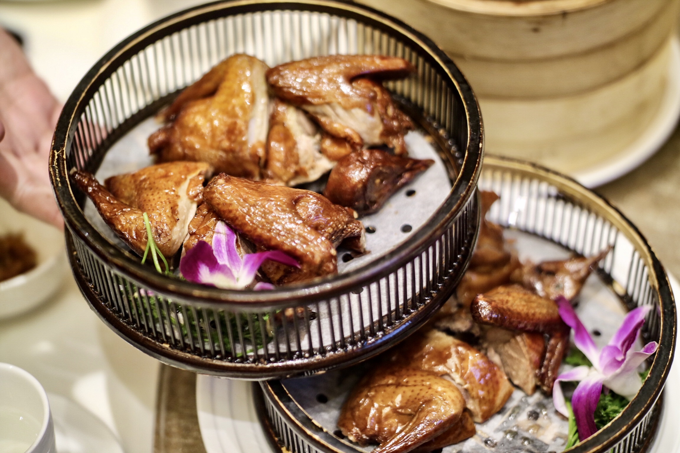 Fried Squab