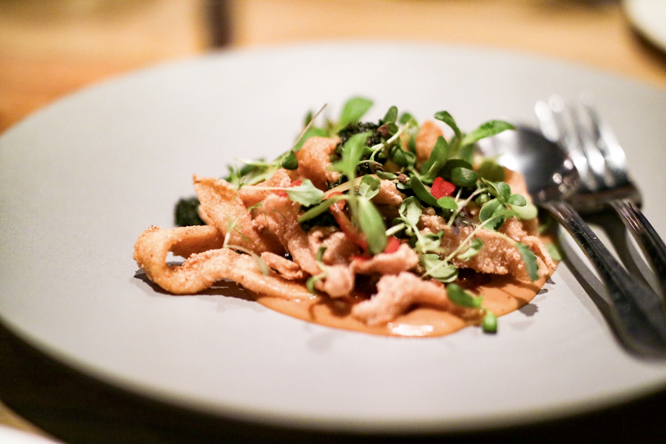 Humboldt Squid