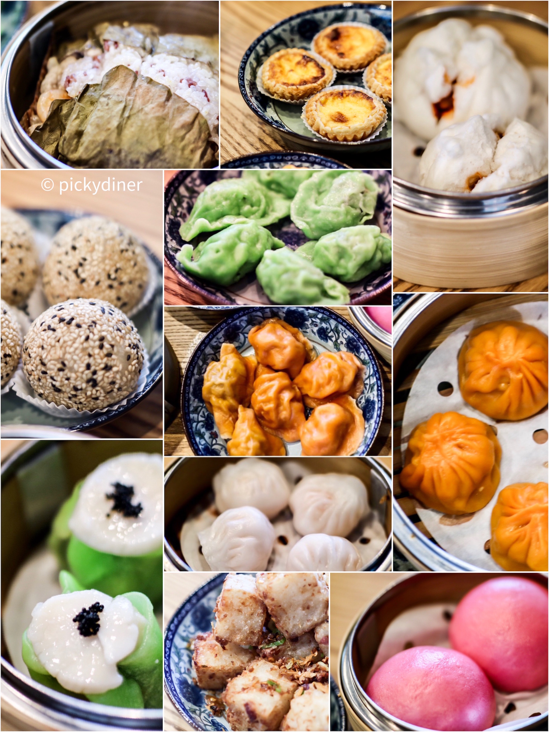 dim sum dishes at Heritage Asian Eatery