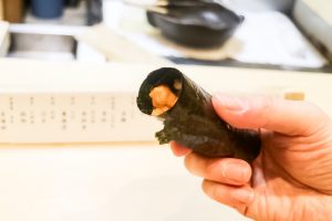 Hokkaido Uni