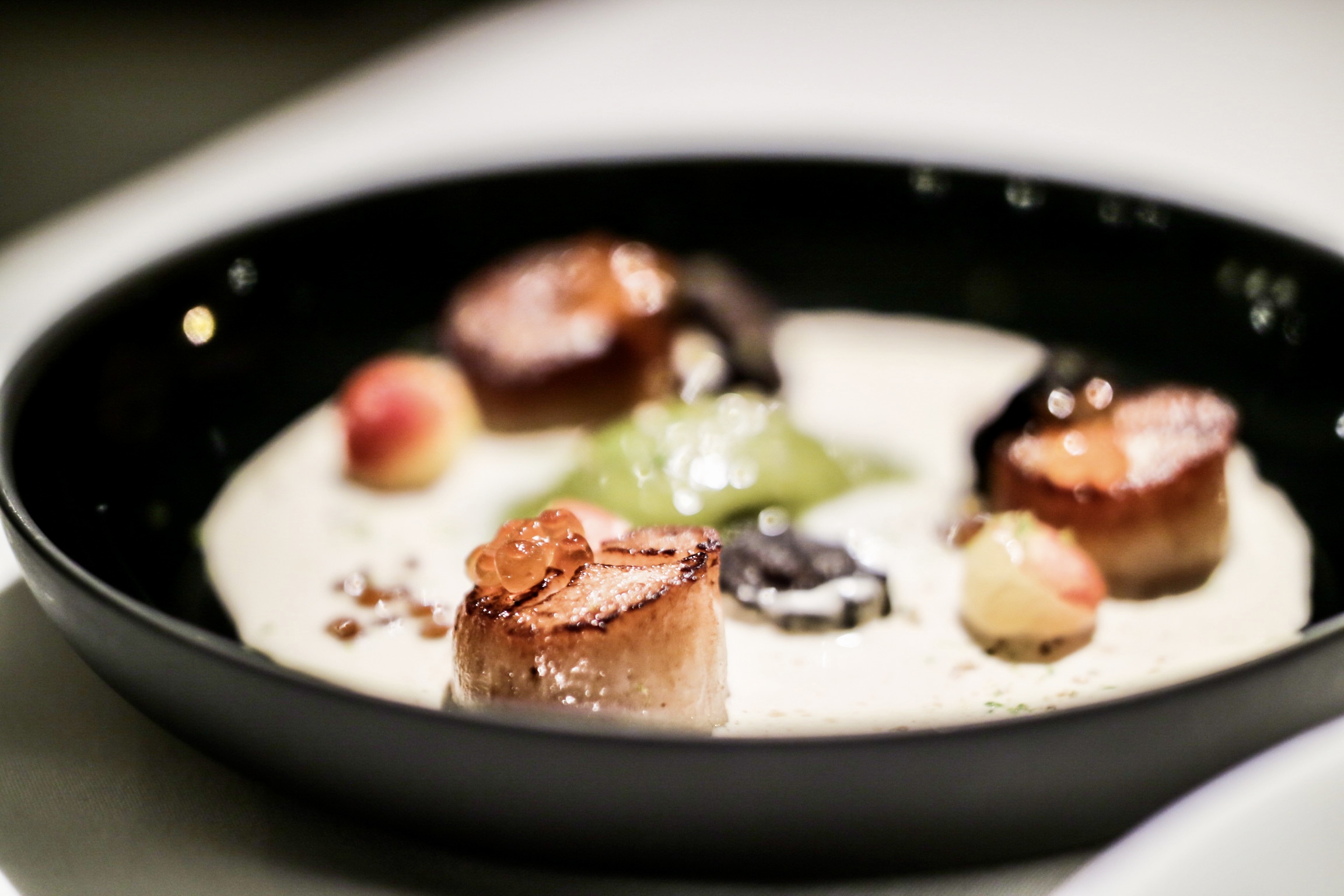 Scallop