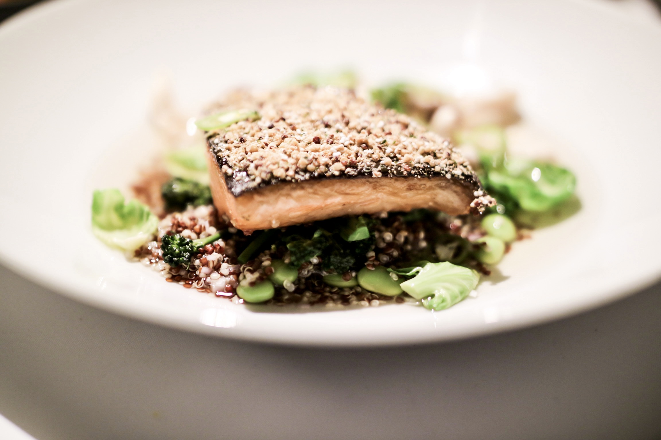 Steelhead Trout