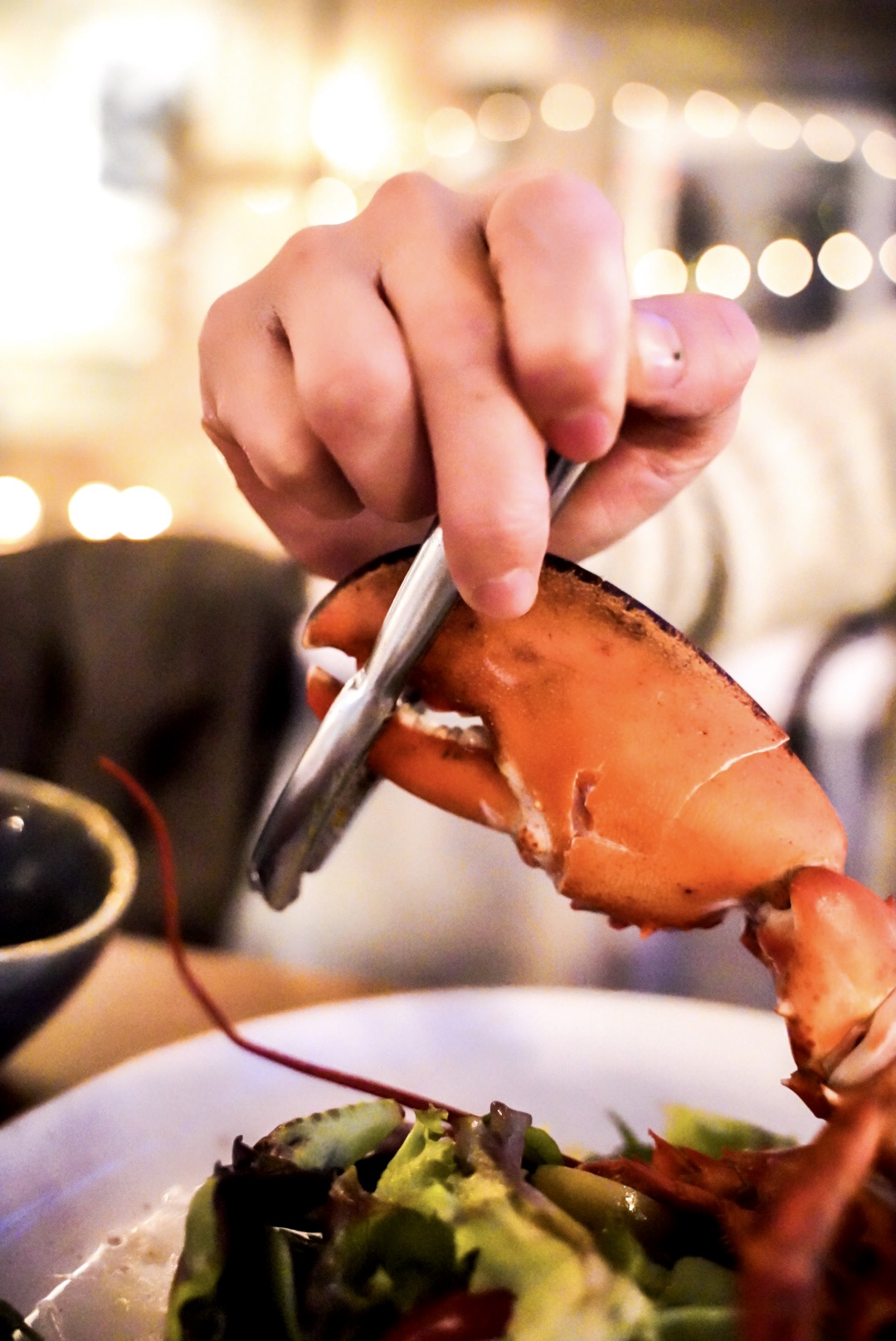 Lobster Madness @ Water St. Cafe